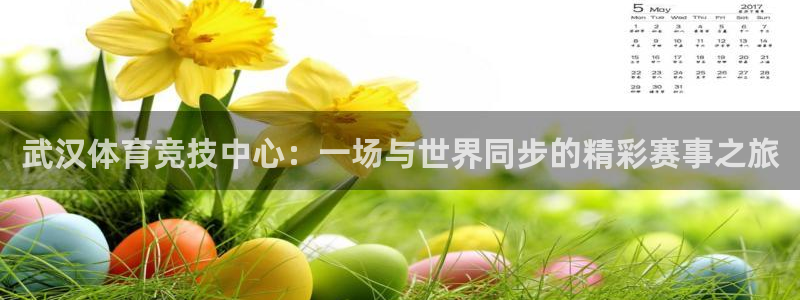 3377体育官方集团官网:武汉体育竞技中心:一场与世界同步的