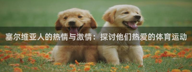 3377体育官网下载是干嘛的公司:塞尔维亚人的热情与激情:探
