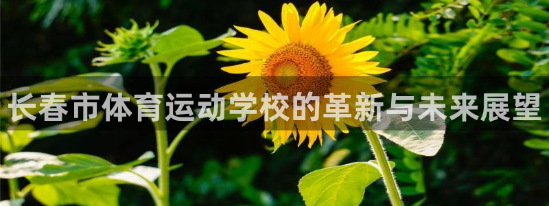 3377体育官网下载平台注册要钱吗:长春市体育运动学校的革新