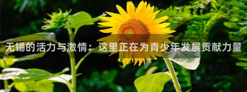 3377体育官方正版app开户:无锡的活力与激情:这里正在为