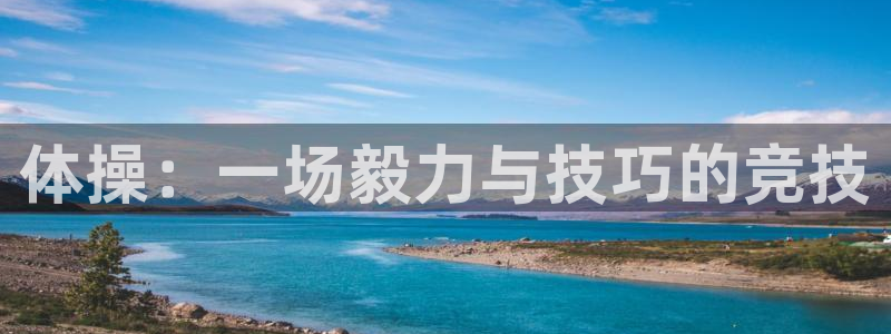 3377体育官方集团官网:体操:一场毅力与技巧的竞技